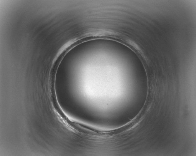 X0000081431122200701191615
