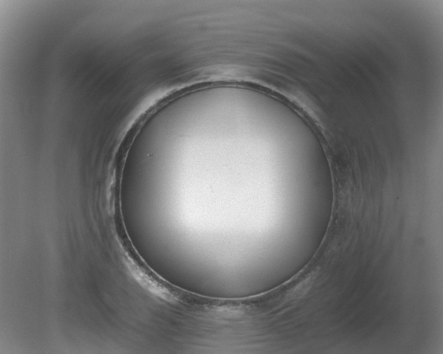 X0000081431126200701191615