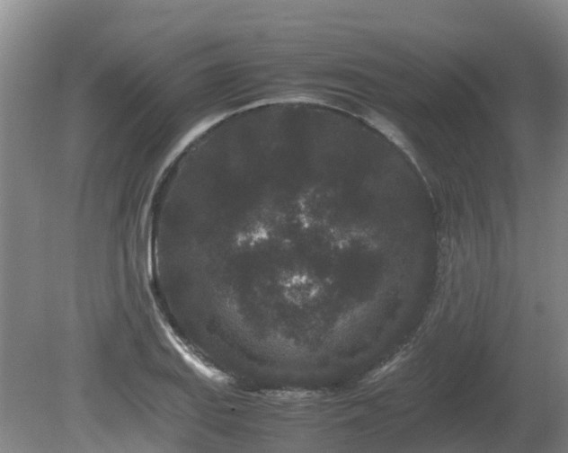 X0000081431127200701191615