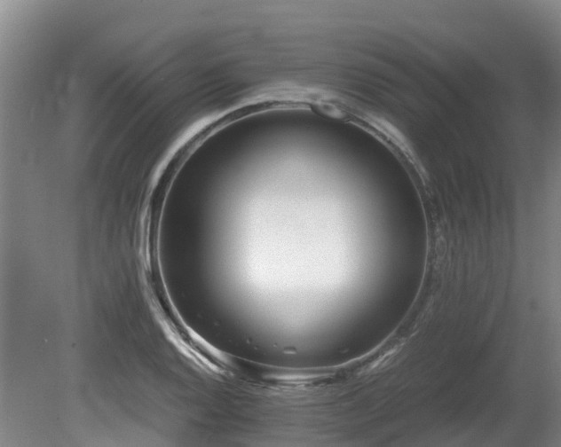 X0000081431128200701191615