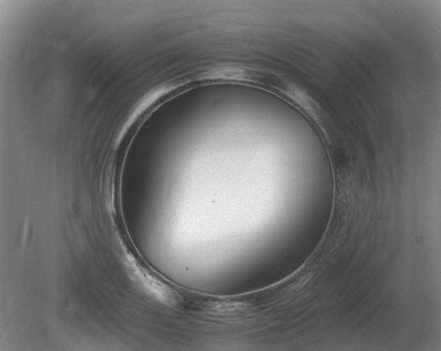 X0000081431131200701191615