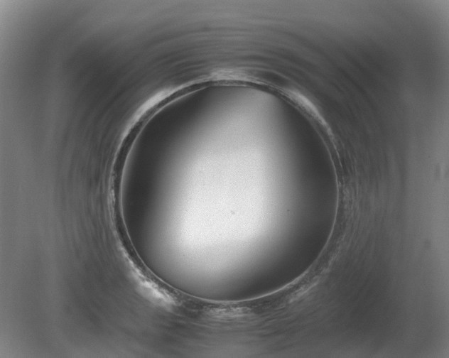 X0000081431133200701191615