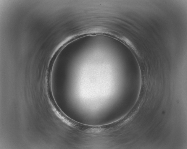 X0000081431134200701191615