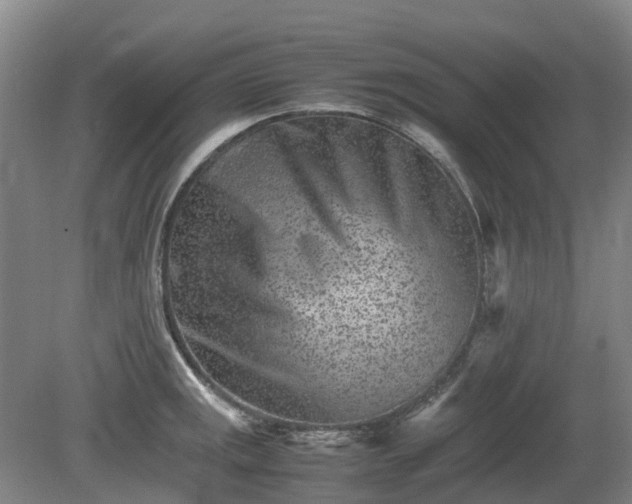 X0000081431141200701191615