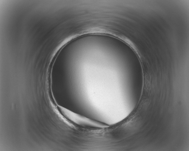 X0000081431142200701191615