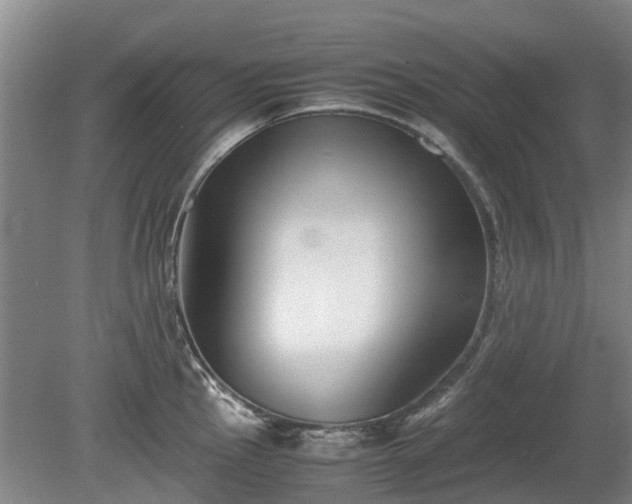 X0000081431145200701191615