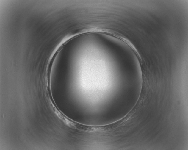 X0000081431148200701191615