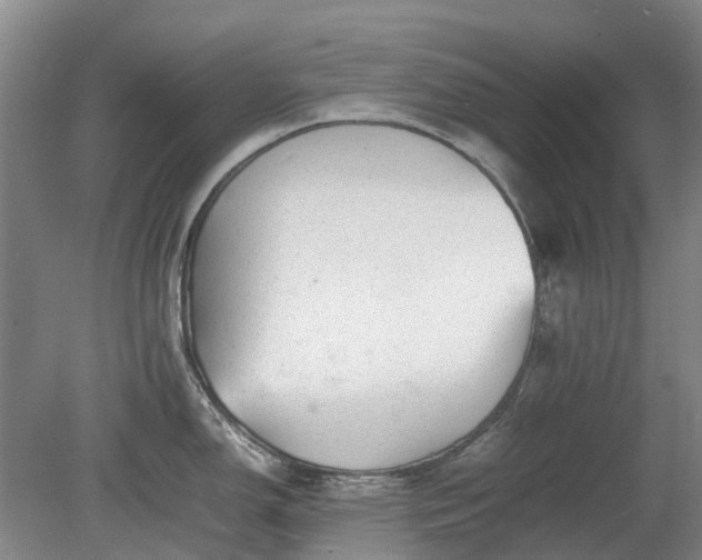 X0000081431150200701191615