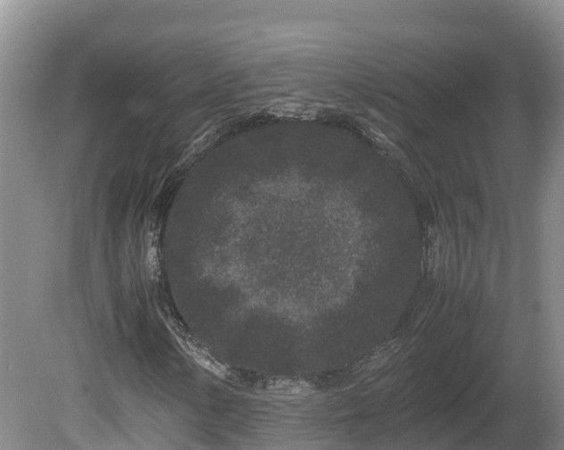 X0000081431154200701191614
