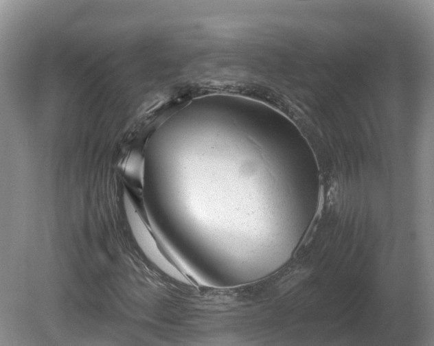 X0000081431156200701191614