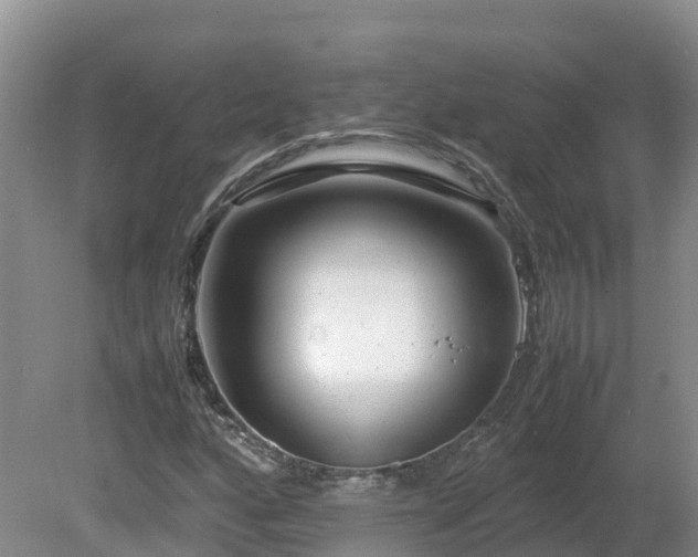X0000081431160200701191614