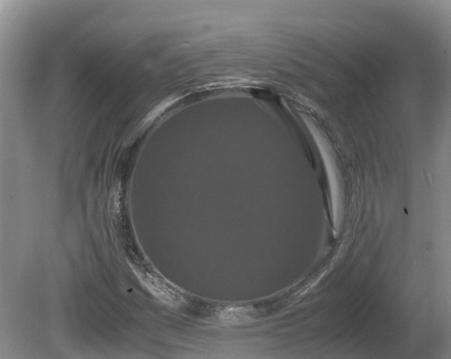 X0000081431161200701191614