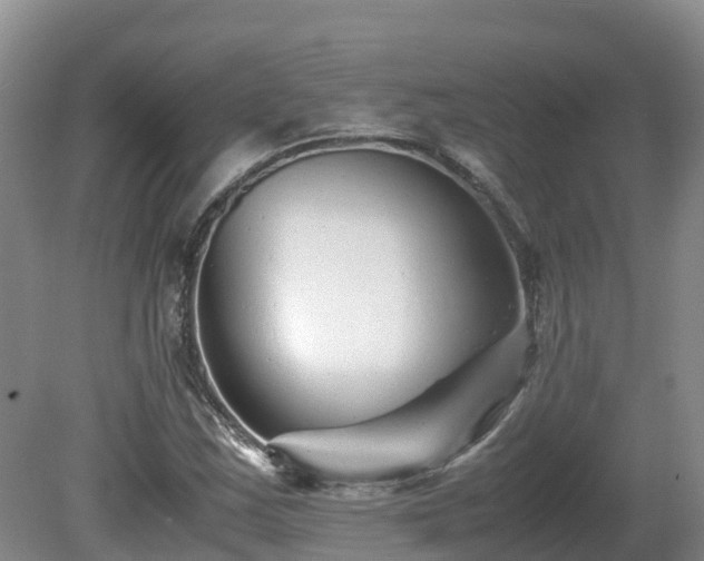 X0000081431163200701191614