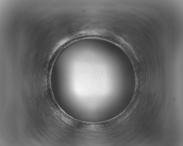 X0000081431166200701191614