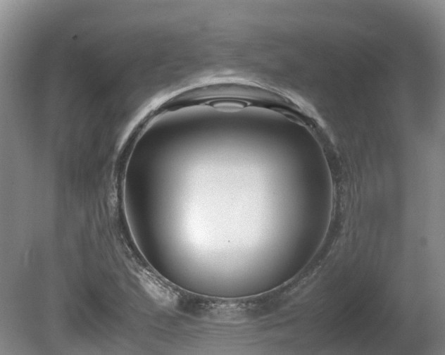 X0000081431167200701191614