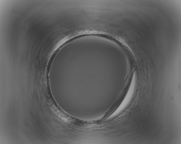 X0000081431173200701191614