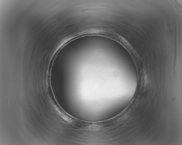 X0000081431178200701191614