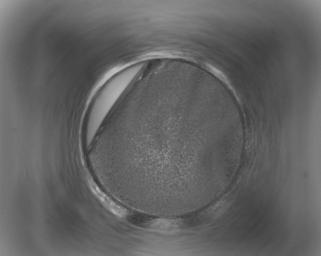 X0000081431179200701191614