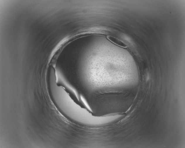 X0000081431180200701191614