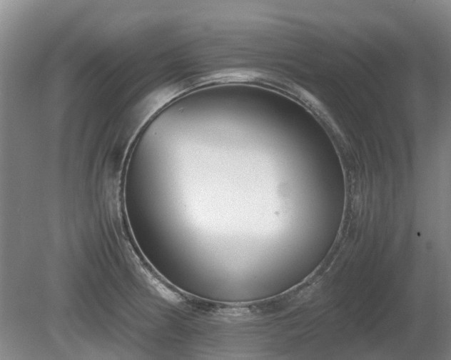 X0000081431186200701191614
