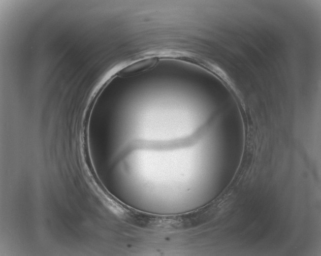 X0000081431187200701191614