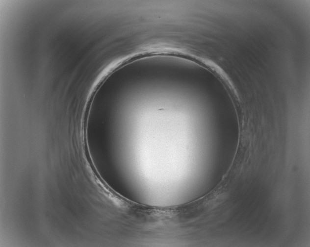X0000081431191200701191614
