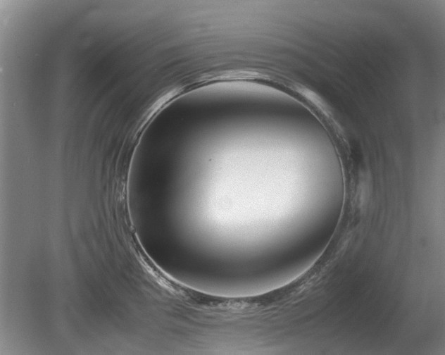 X0000081431193200701191614