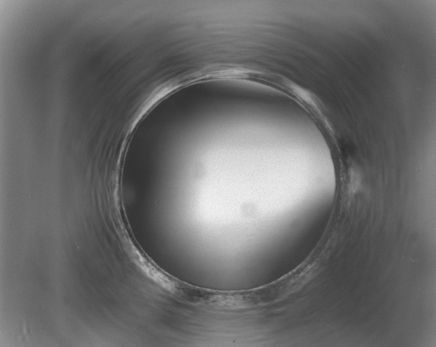X0000081431194200701191614