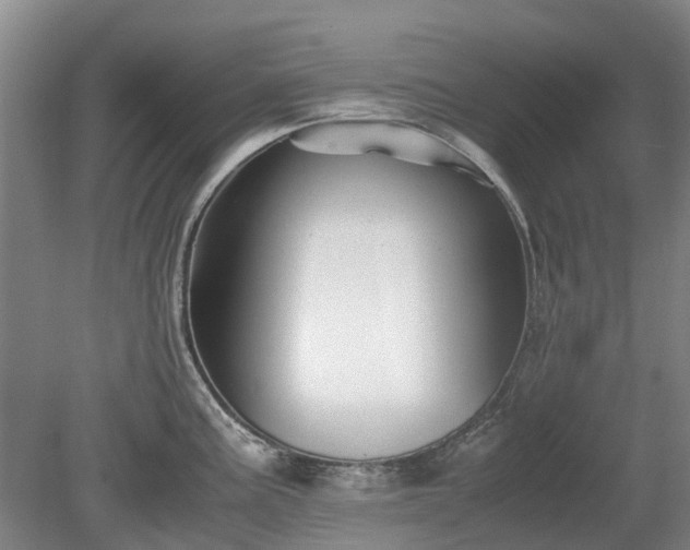 X0000081431195200701191614
