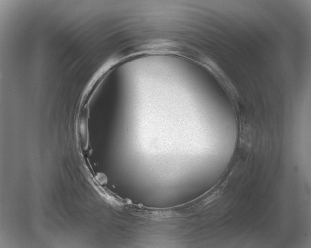 X0000081431196200701191614