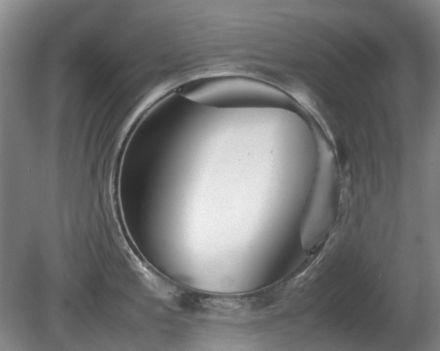 X0000081431197200701191614