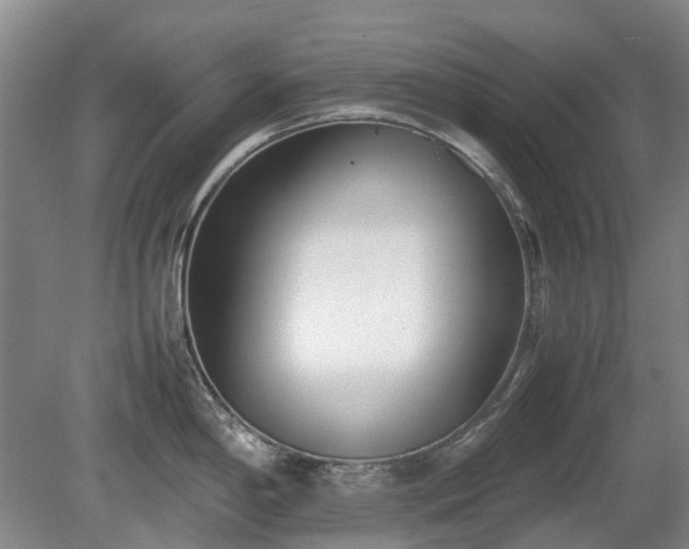 X0000081431198200701191614