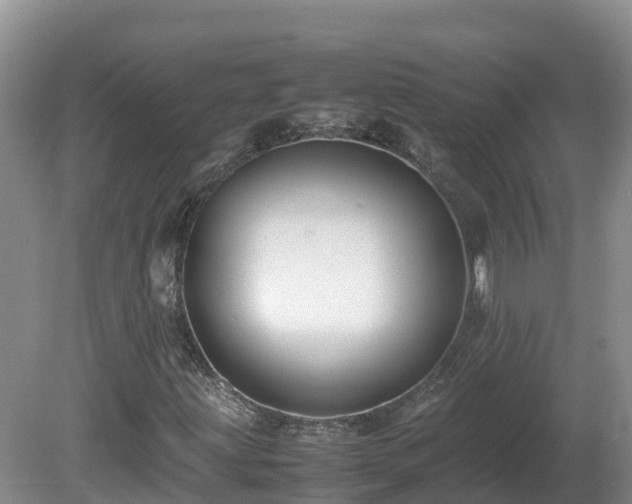 X0000081431203200701191613