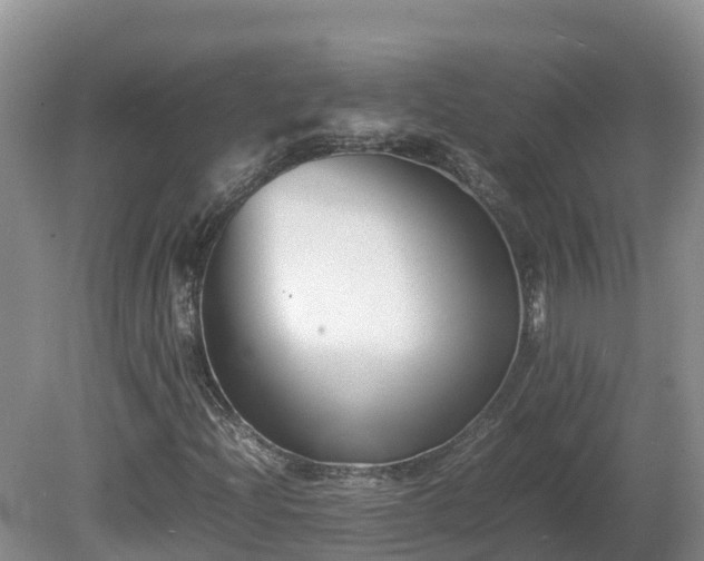 X0000081431204200701191613
