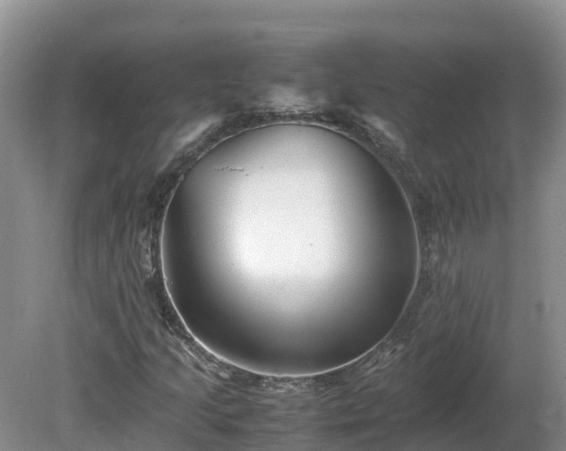 X0000081431205200701191613