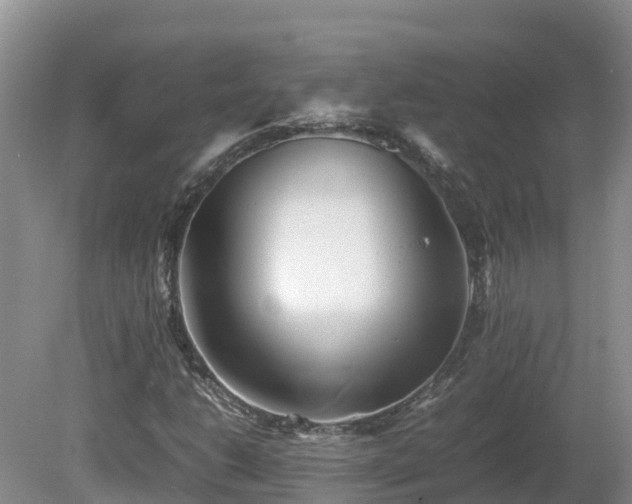 X0000081431206200701191613