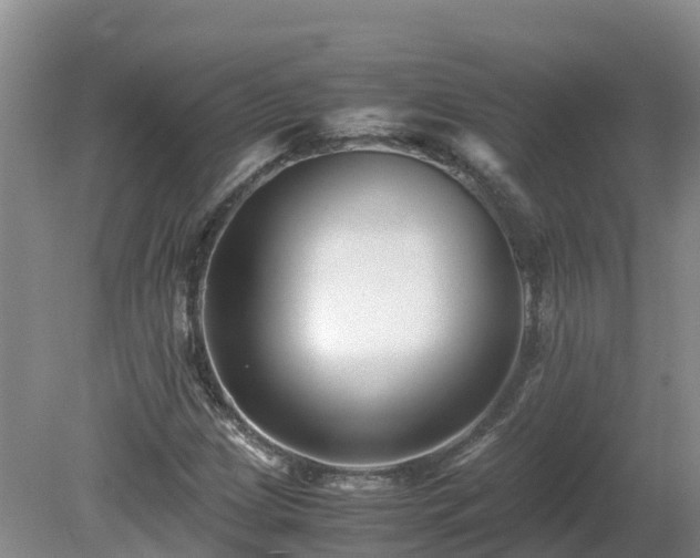 X0000081431209200701191613