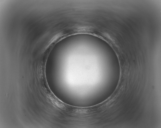 X0000081431211200701191613