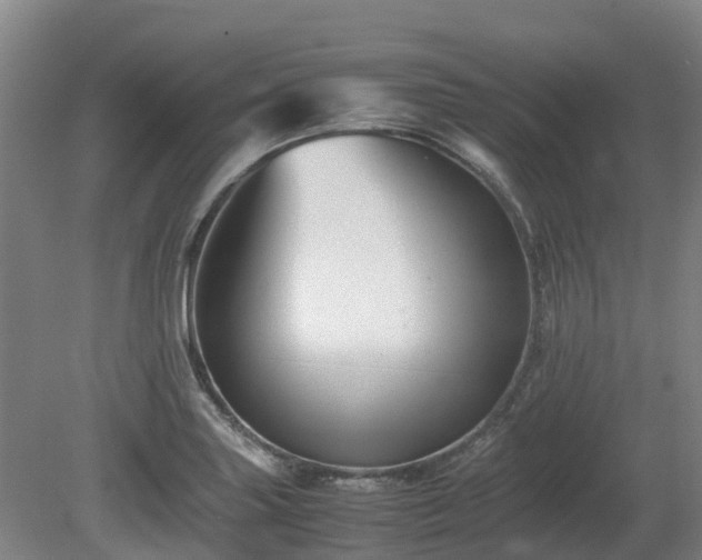 X0000081431227200701191613