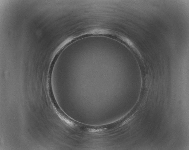 X0000081431229200701191613