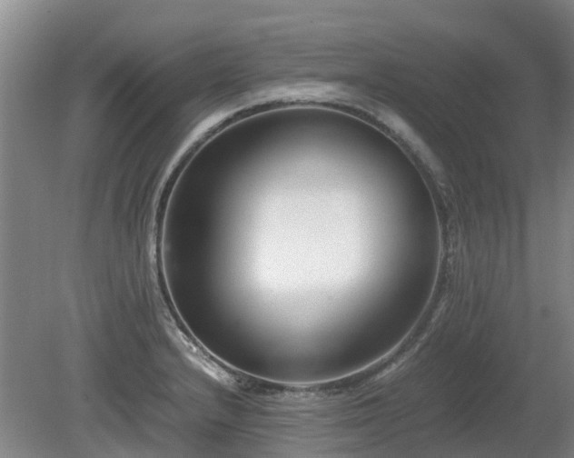 X0000081431232200701191613