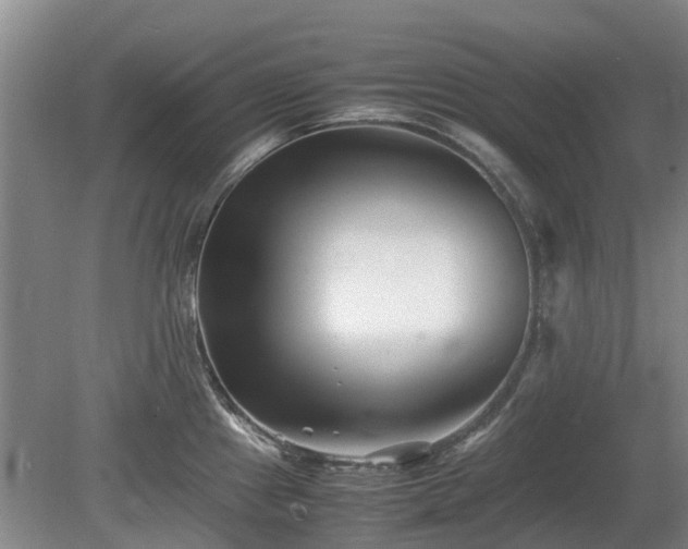 X0000081431241200701191613