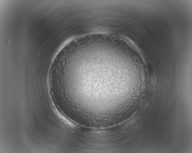 X0000081431243200701191613