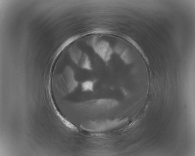 X0000081431245200701191614