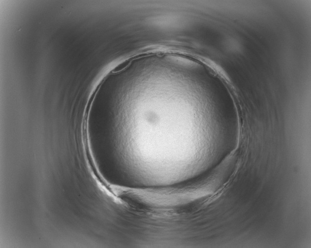 X0000081431247200701191614
