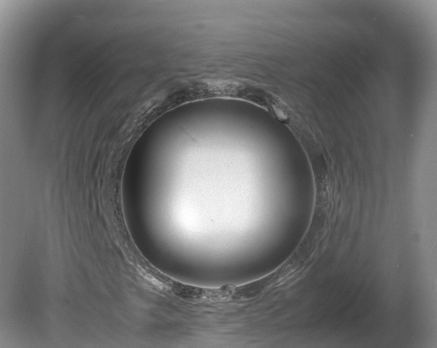 X0000081431249200701191613