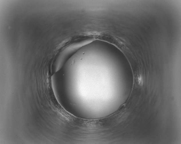 X0000081431252200701191613