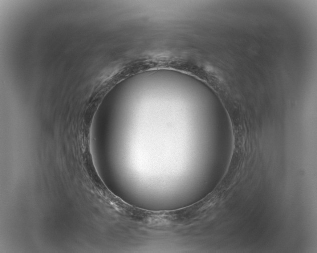 X0000081431253200701191613