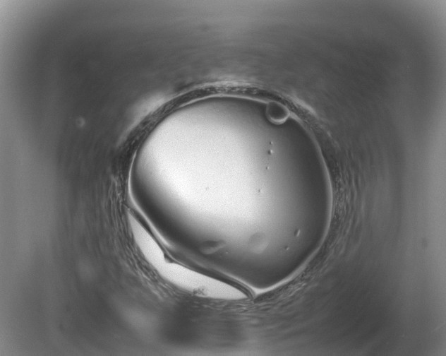X0000081431255200701191613