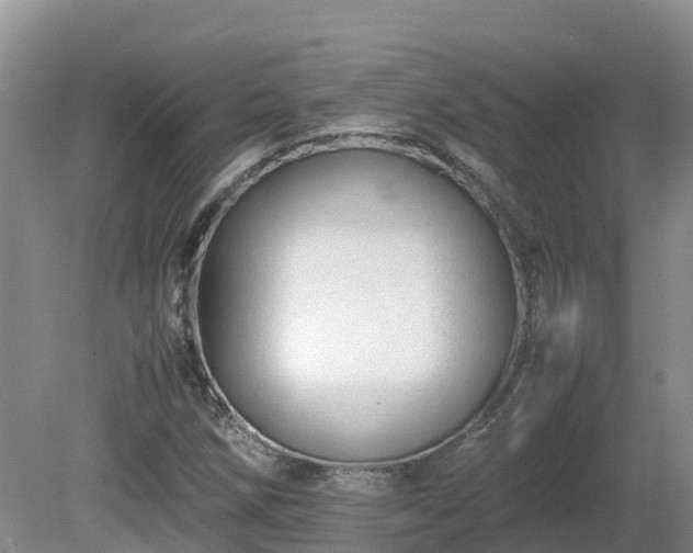 X0000081431258200701191613